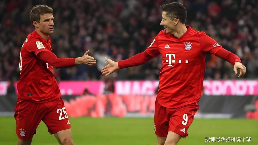 爱游戏网页版登录入口-德甲球队实力强劲，拜仁慕尼黑夺得胜利的简单介绍