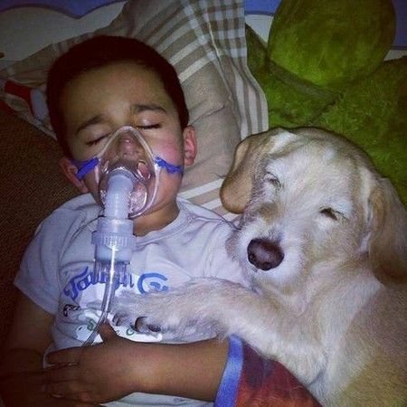 爱游戏网页版登录入口-动人心弦！球场上发生的感人一幕令人动容的简单介绍