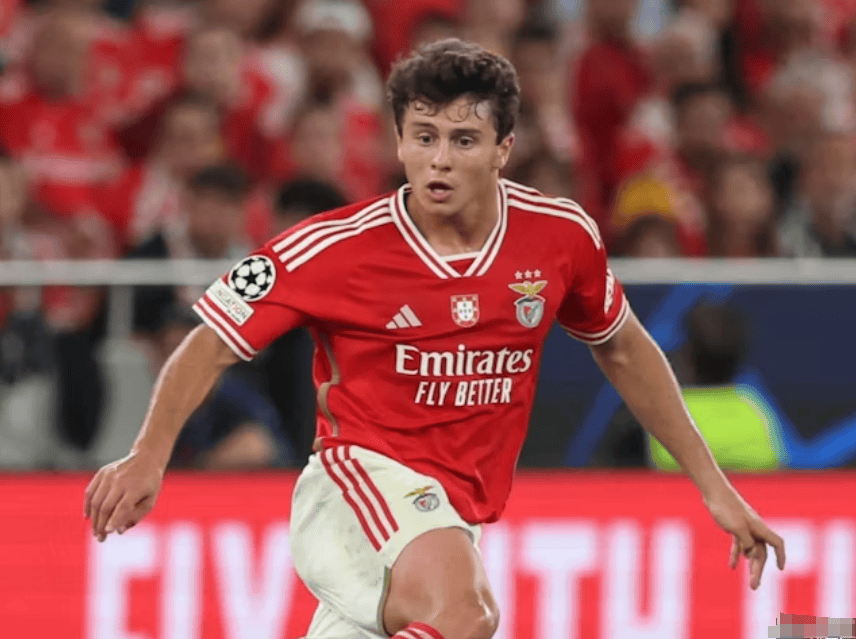 爱游戏网页版登录入口-曼城客场-小胜本菲卡，稳固小组第一